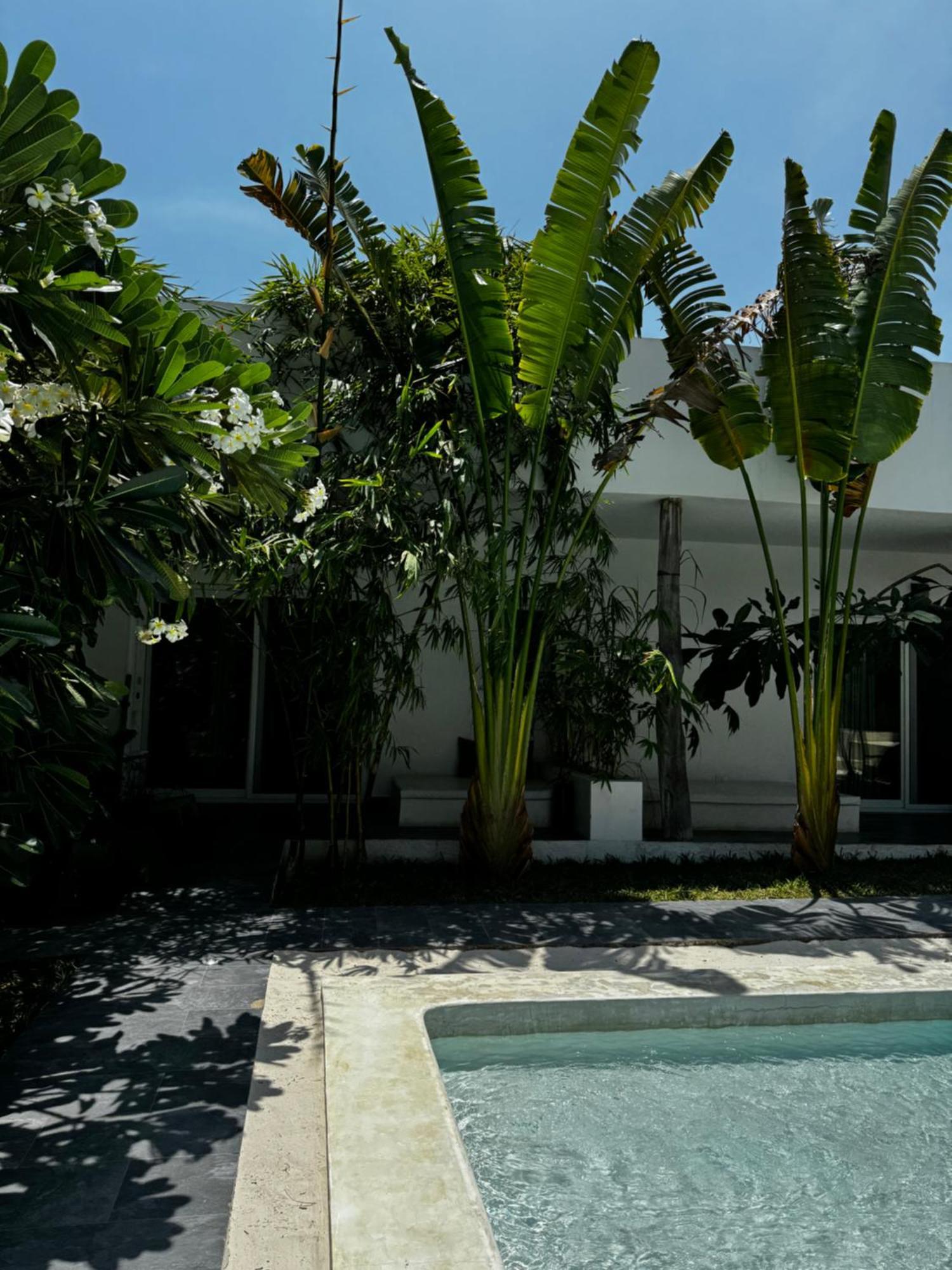La Base B&B Kiwengwa (Zanzibar) Extérieur photo